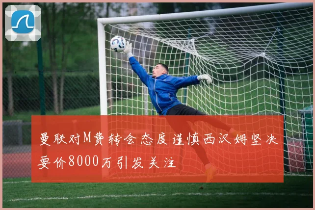 曼联对M费转会态度谨慎西汉姆坚决要价8000万引发关注